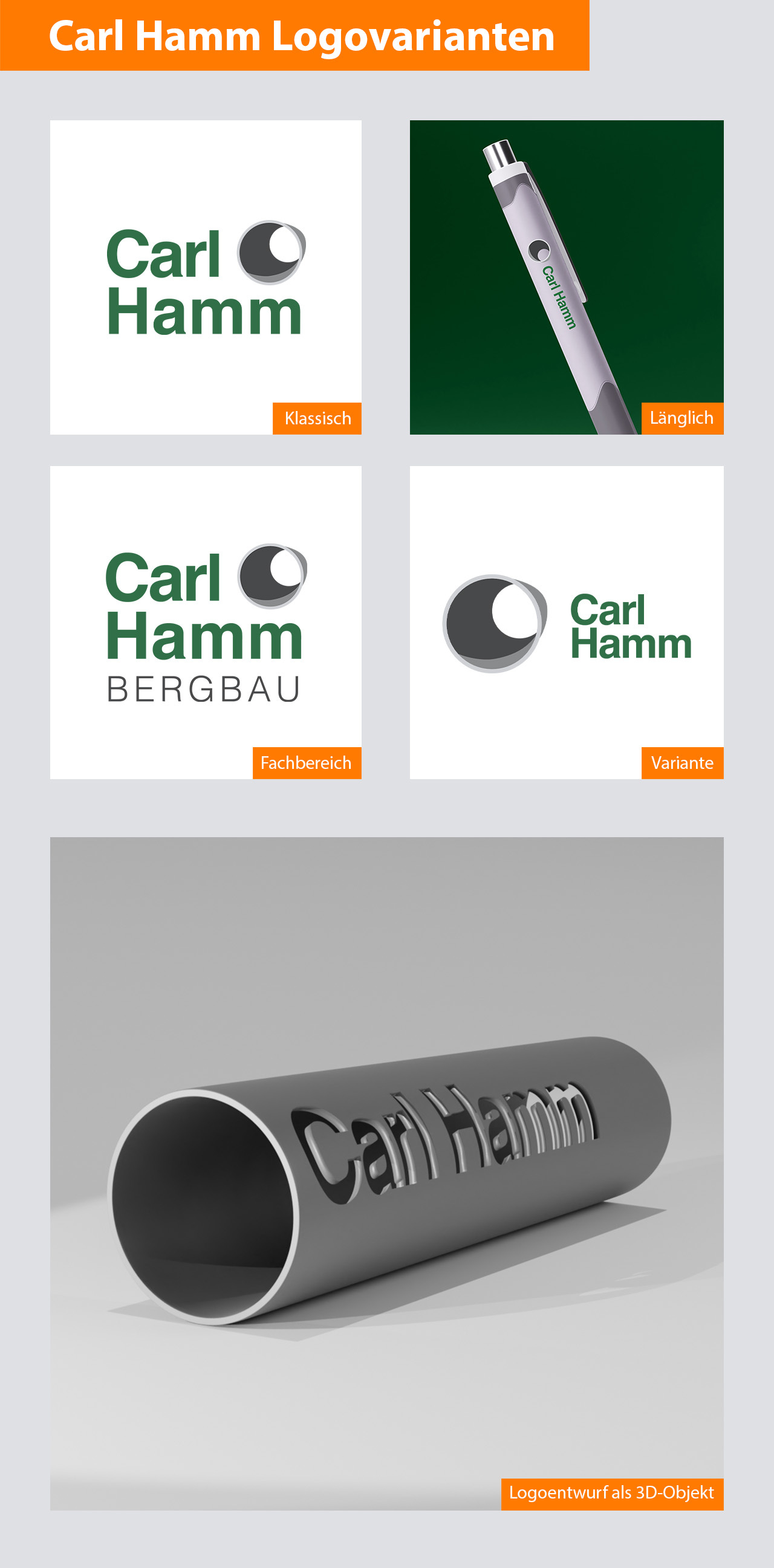 3D-Logo: Carl Hamm und viSales GmbH
